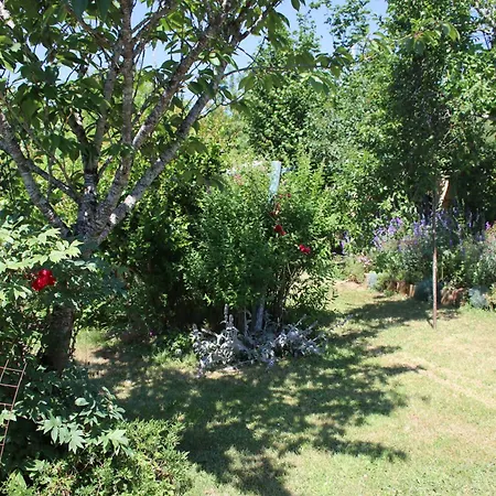 בית נופש Les Kiwis